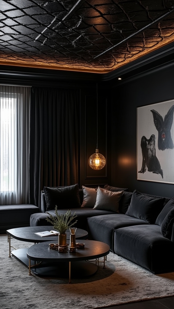 black statement ceiling impact