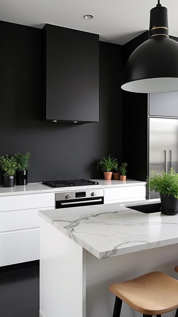 monochrome elegance and contrast